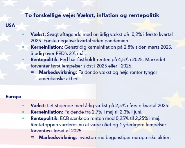 Skærmbillede 2025-07-15 111644